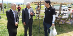 会津美里町八木沢菜の花まつり