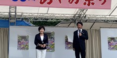 会津美里町あやめ祭り