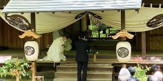 会津松平家　お花まつり